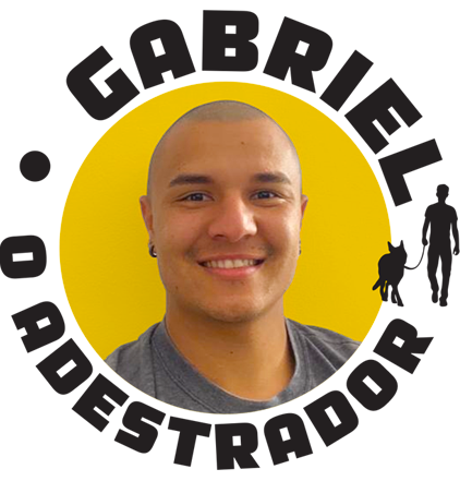 Gabriel Adestrador